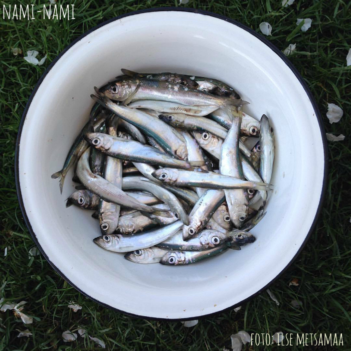 Nami-Nami